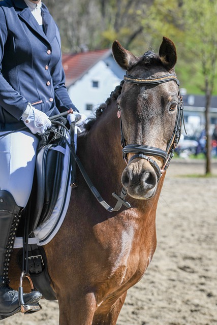 到了一个前 到了一个前