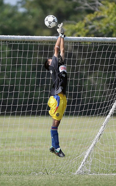 洞察力和判 洞察力和判