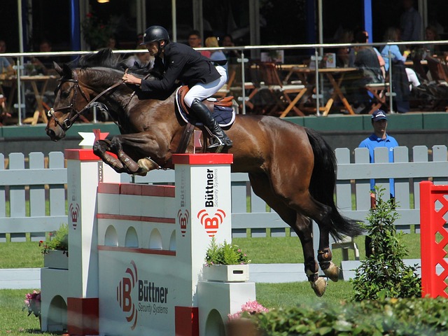 切尔西为何 切尔西为何