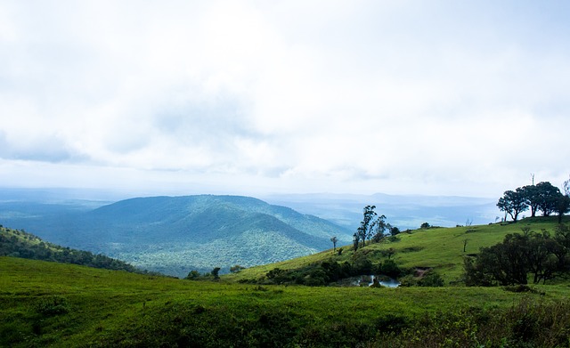 狼堡通過簽 狼堡通過簽