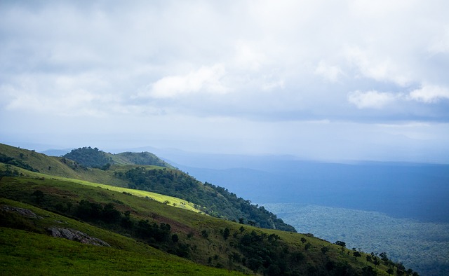 这一决定不 这一决定不