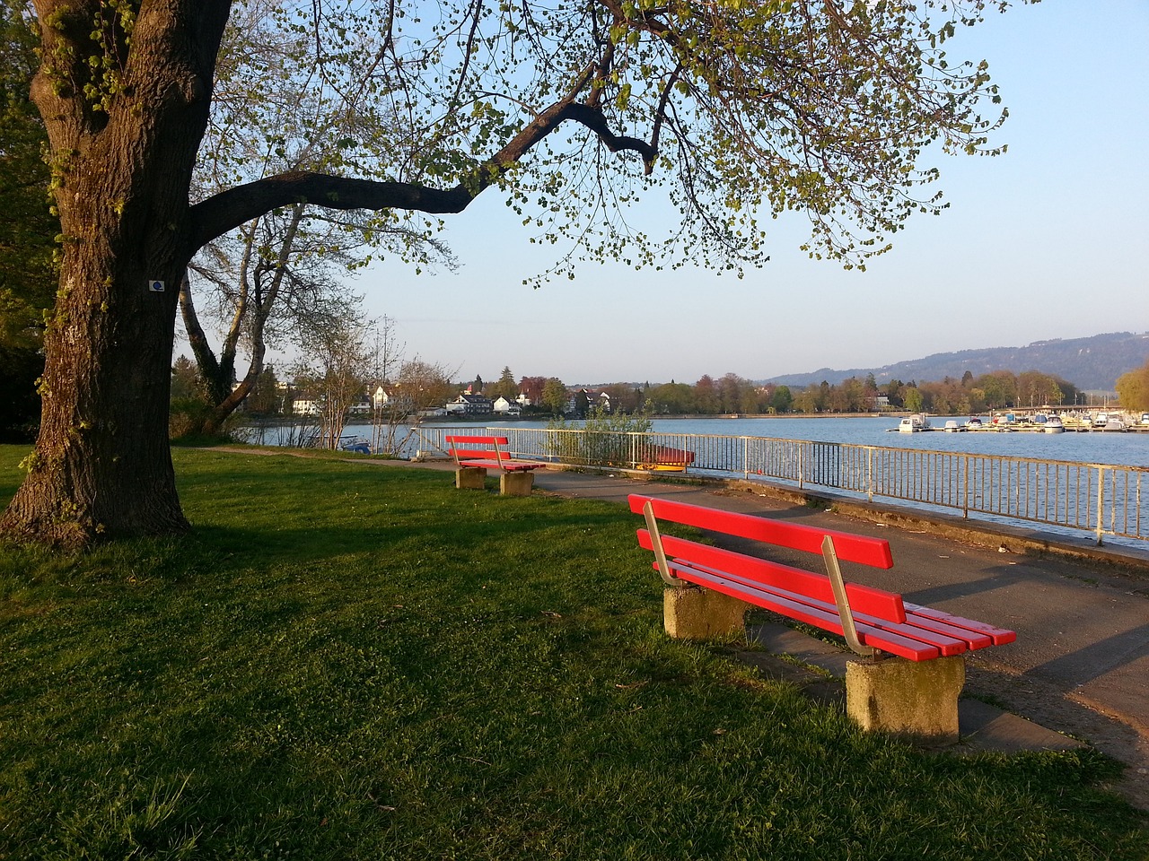 下成长起来 下成长起来