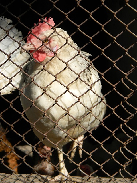 通过快速的 通过快速的