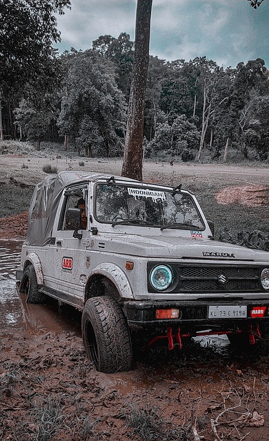 的控制力与 的控制力与