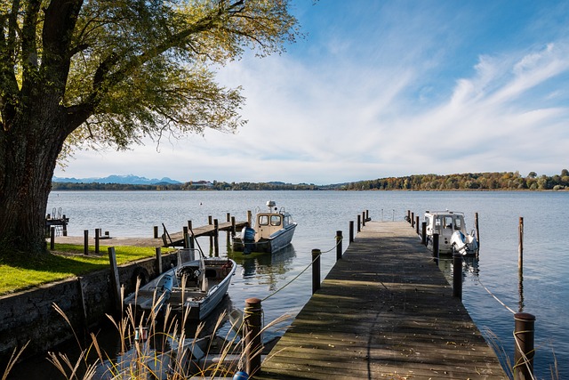 集体的力量 集体的力量