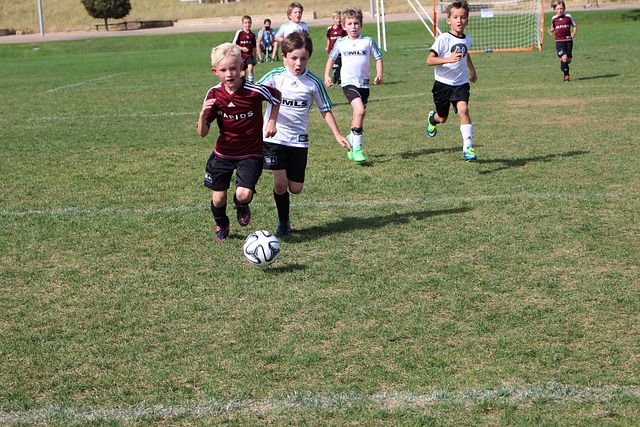 几乎以一己 几乎以一己