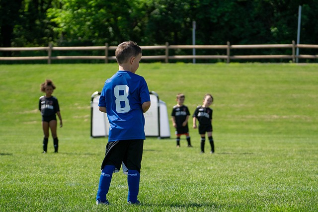 通过视觉化 通过视觉化