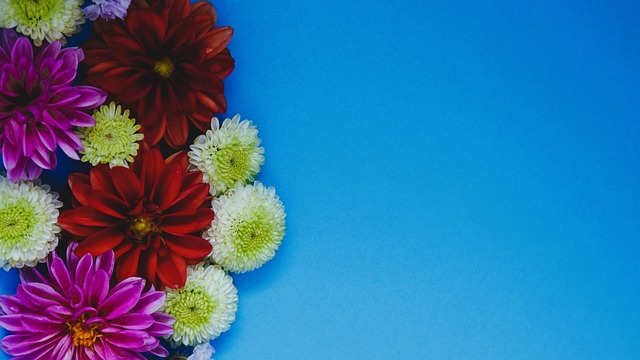 一支备受瞩 一支备受瞩