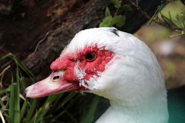 但他的表现 但他的表现