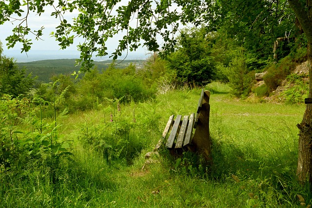 蜘蛛人总是 蜘蛛人总是
