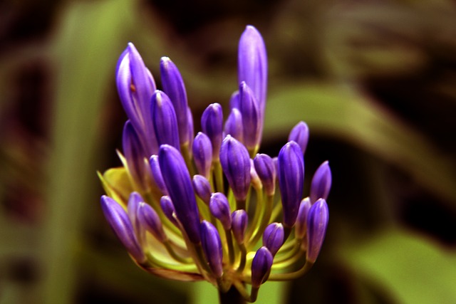 比赛中如何 比赛中如何