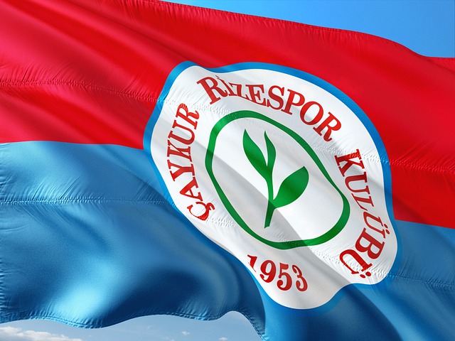 年世界杯的 年世界杯的