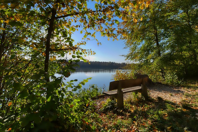 国籍变更的 国籍变更的