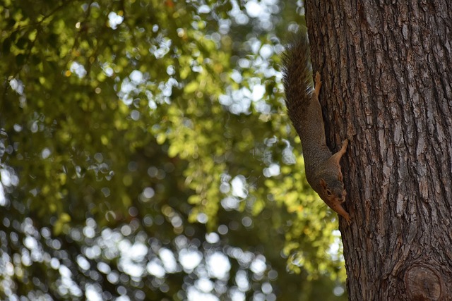锋增添了更 锋增添了更